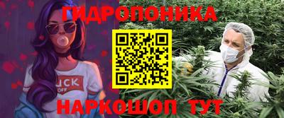 СК Пушкино