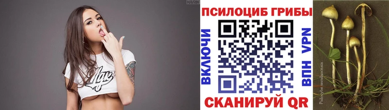 Псилоцибиновые грибы мицелий  хочу   Павлово 