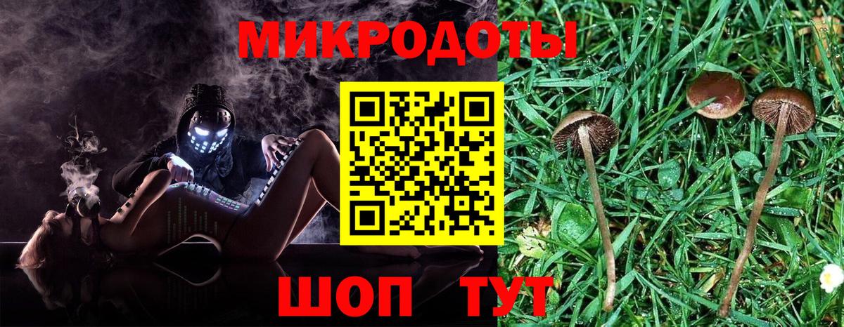 Галлюциногенные грибы прущие грибы  Вход с VPN  Псилоцибиновые грибы Psilocybe  Павлово 