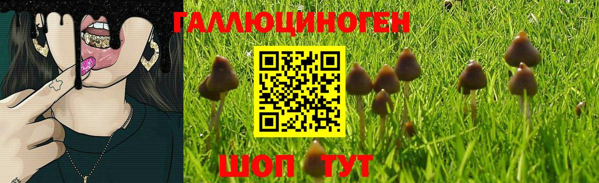 Галлюциногенные грибы мухоморы Павлово
